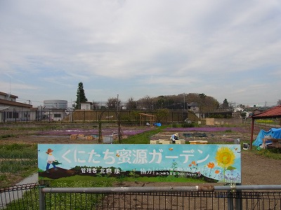 RIMG0150.jpg