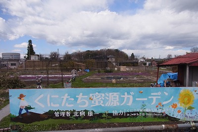 RIMG0154.jpg