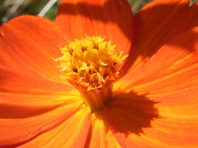 RIMG0154b.jpg