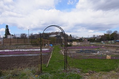 RIMG0155.jpg