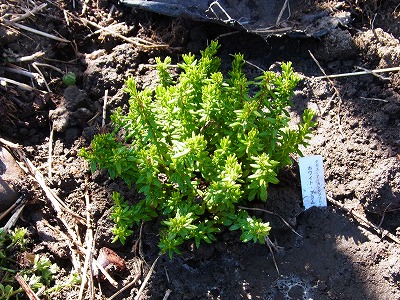 RIMG0156.jpg