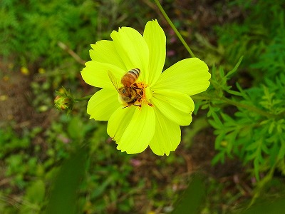RIMG0158.jpg