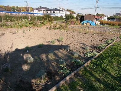 RIMG0162.jpg