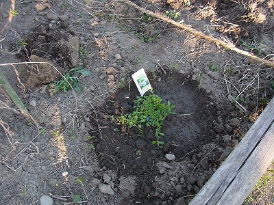 RIMG0163.jpg