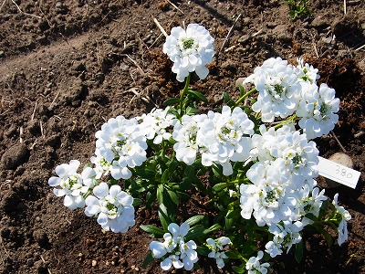 RIMG0165.jpg