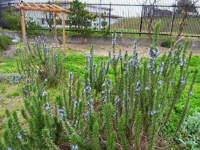 RIMG0165.jpg