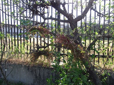 RIMG0166.jpg