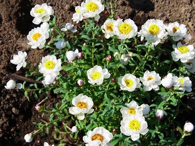 RIMG0167.jpg