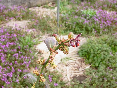 RIMG0170.jpg