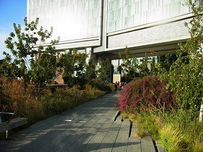 RIMG0173.jpg