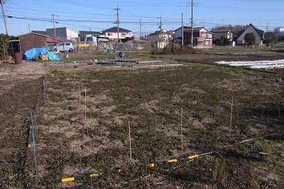 RIMG0174.jpg