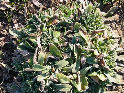 RIMG0176.jpg