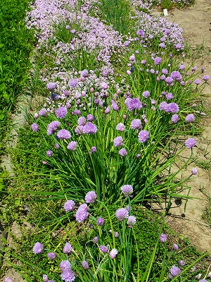 RIMG0177.jpg