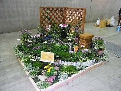 RIMG0178.jpg