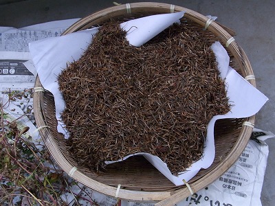 RIMG0178.jpg