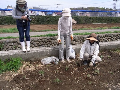 RIMG0188.jpg