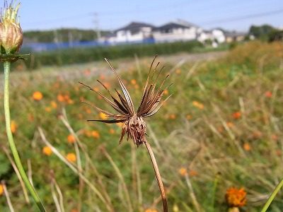 RIMG0214.jpg