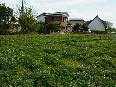RIMG0224.jpg
