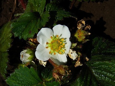 RIMG0251.jpg