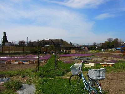 RIMG0285.jpg
