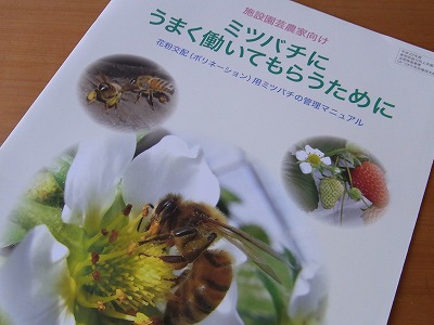 RIMG0292.jpg