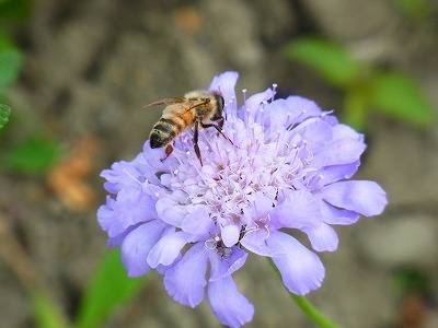 RIMG0300.jpg