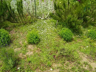 RIMG0307.jpg