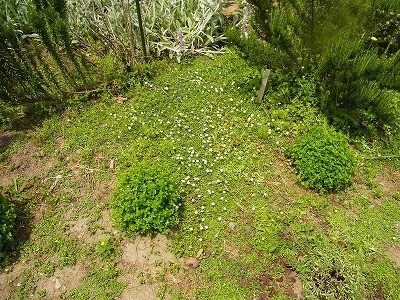 RIMG0312.jpg