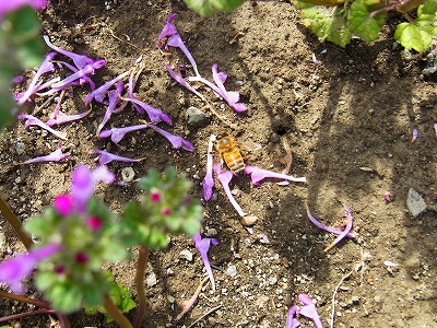 RIMG0314.jpg
