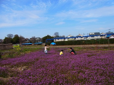 RIMG0316.jpg