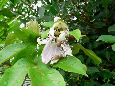 RIMG0348.jpg