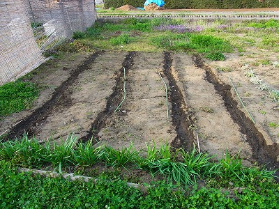 RIMG0363.jpg