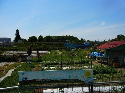 RIMG0370.jpg