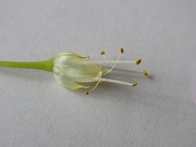 RIMG0477.jpg