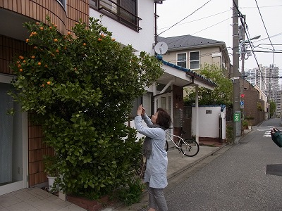 RIMG0480.jpg