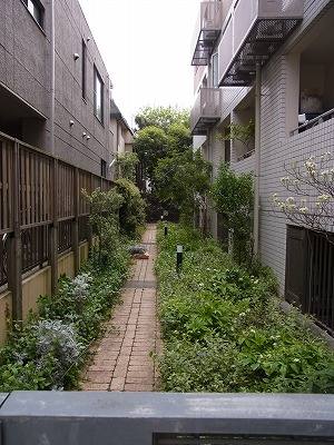RIMG0485.jpg