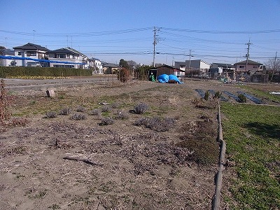RIMG0491.jpg
