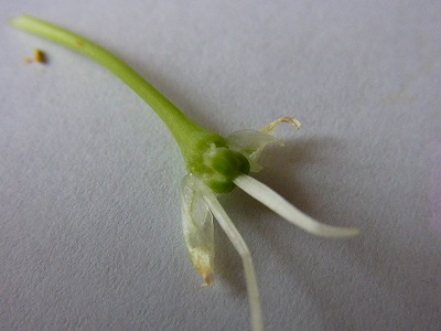 RIMG0493.jpg