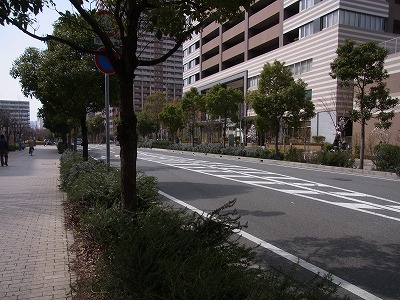 RIMG0504.jpg