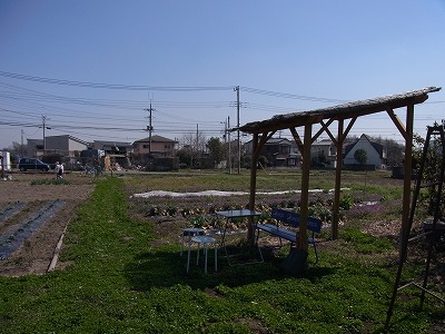 RIMG0507.jpg