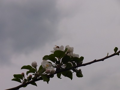 RIMG0524.jpg