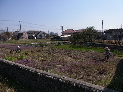 RIMG0528.jpg