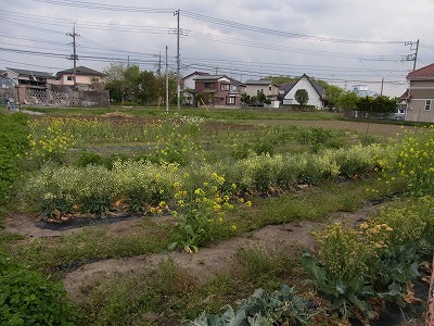 RIMG0534.jpg