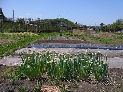 RIMG0541.jpg