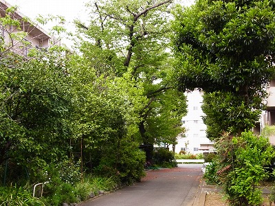 RIMG0548.jpg