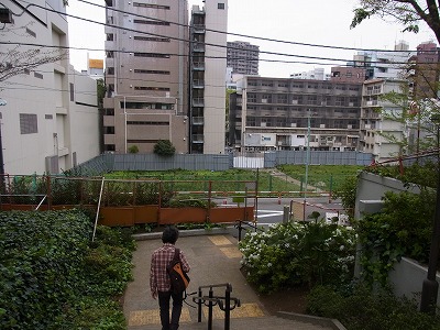 RIMG0558.jpg