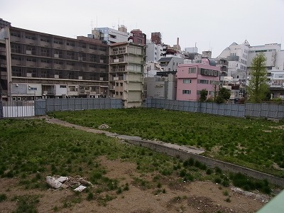 RIMG0559.jpg