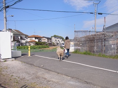 RIMG0610.jpg