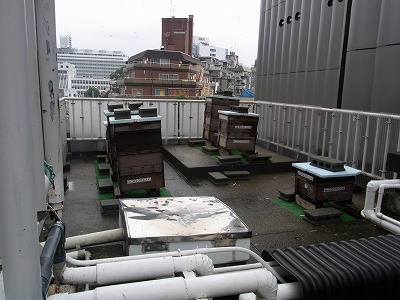 RIMG0703.jpg