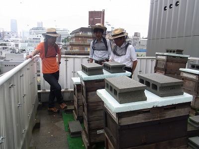RIMG0709.jpg
